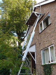 Attempting unsuccessfully to disguise itself as natural foliage, some scaffolding makes a front assault on our house.