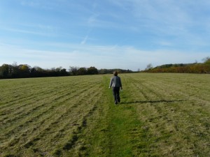 Dot walking across a field at Shotesham.