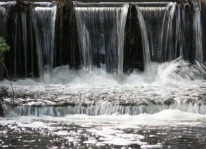 Near Cringleford bridge this afternoon