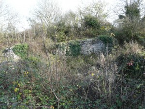 Mileham Castle, in mid-Norfolk. That's nearly all of it, not counting the grass.
