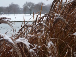 Snow and ice in Eaton Park.