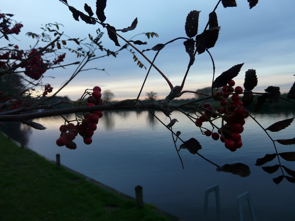 Dusk at Bramerton Woods End