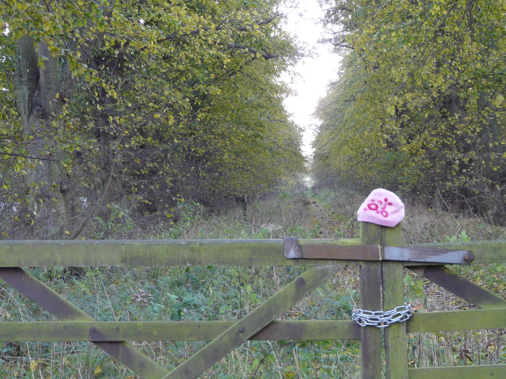 Another shot from our Whitlingham walk