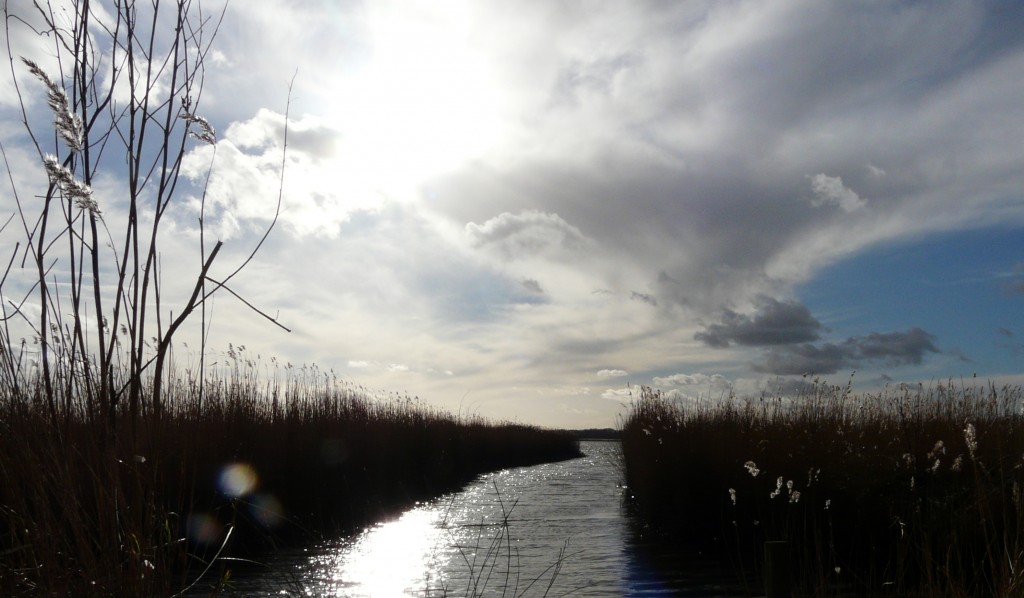 Hickling Broad recently