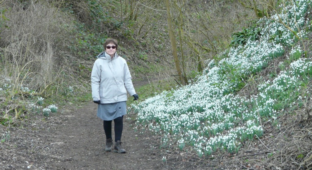 Dot among the snowdrops at Whitlingham