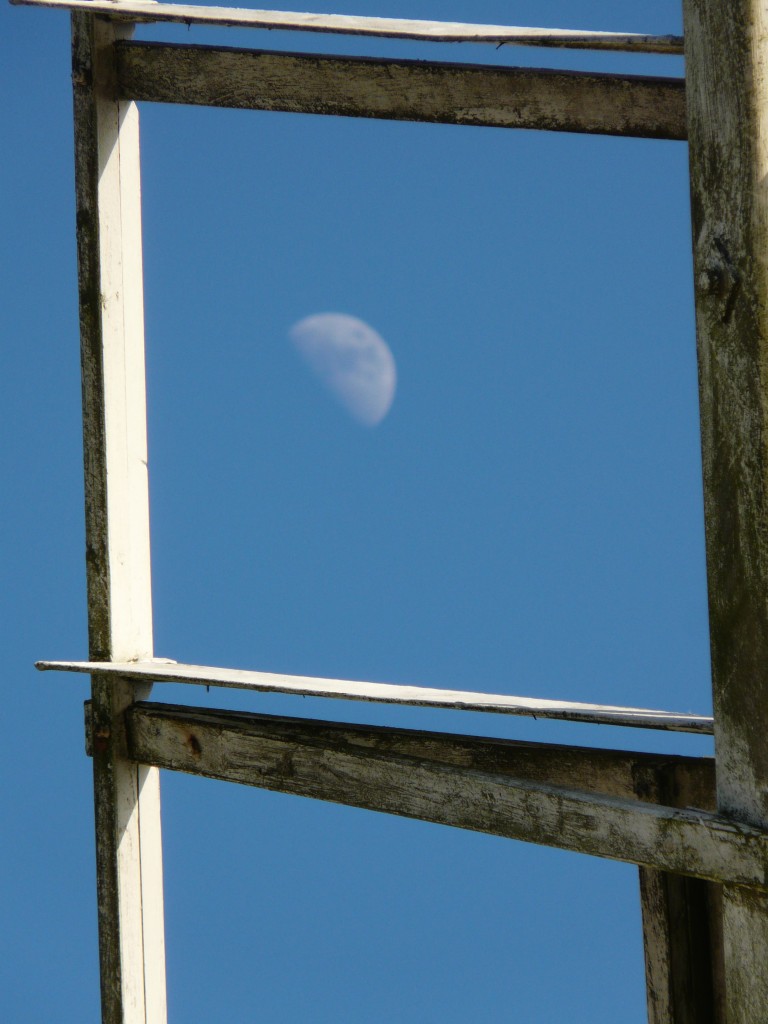 The moon seen through the windmill at Thurne