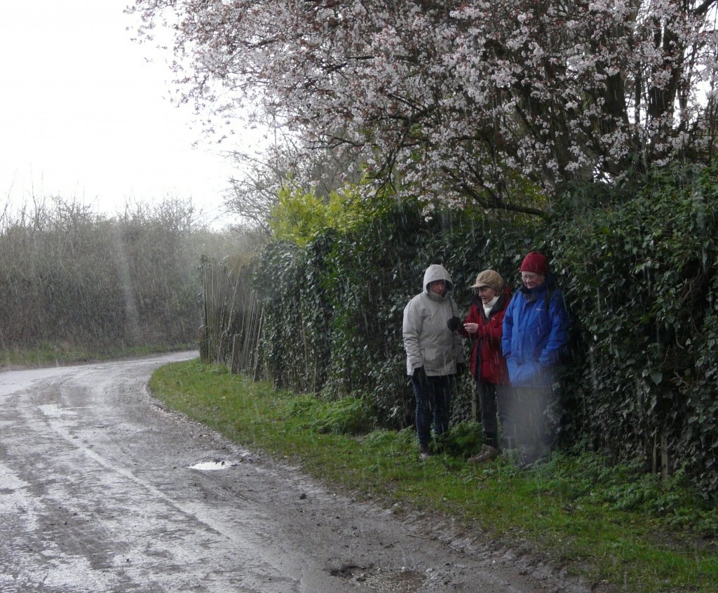 Sheltering from a sharp shower on the tramway walk
