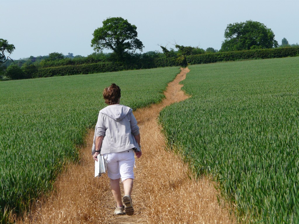 Dot walking near Worstead