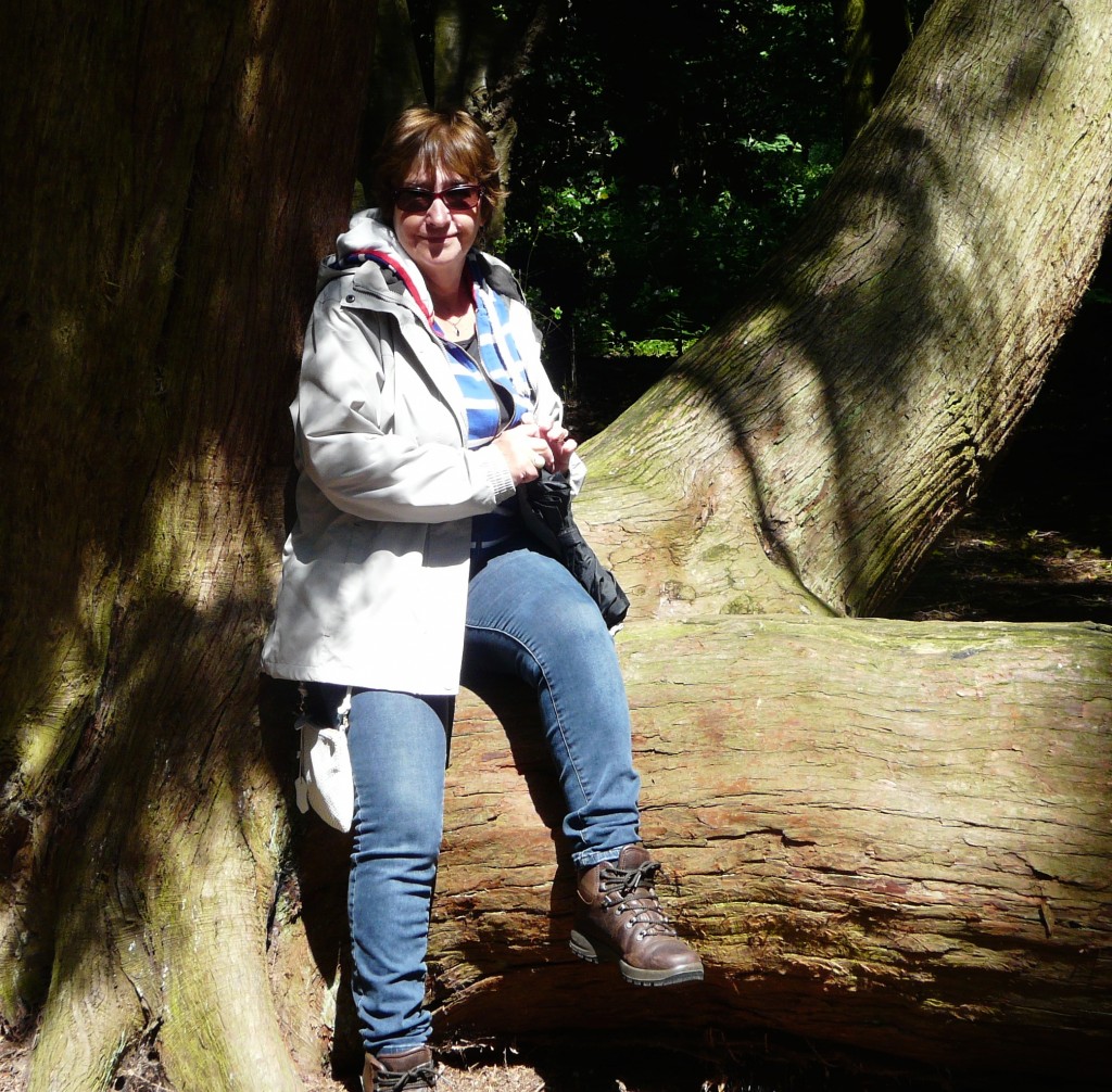 Dot in the woods at Felbrigg