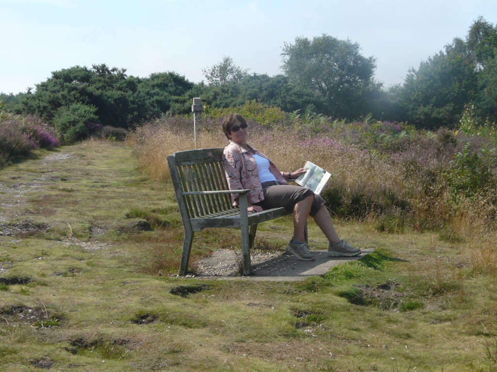 Dot on the heath at Beacon Hill