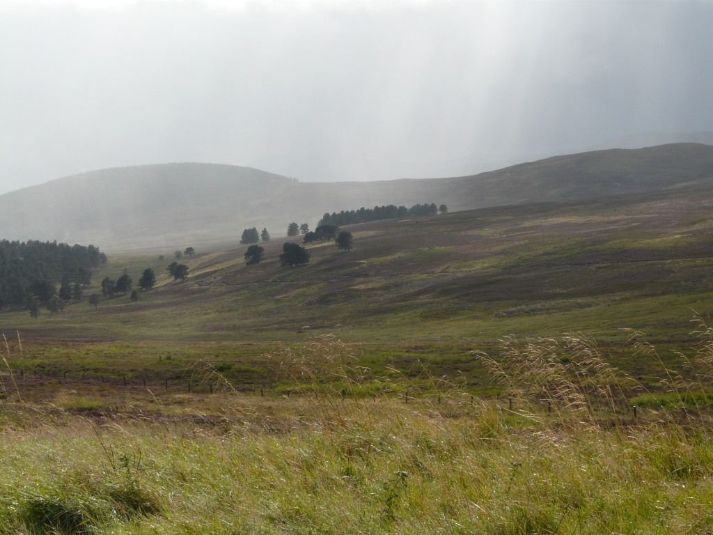 From the Crathie-Tomintoul road this afternoon