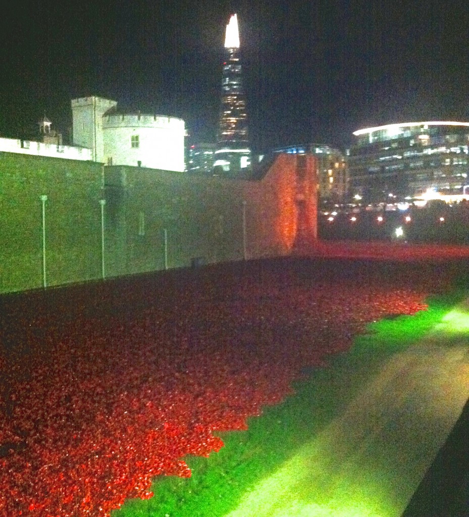 Poppies at the Tower of London: you can almost see them flowing out of the window. 