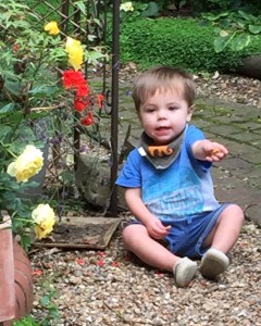 Elliott makes himself at home in the garden