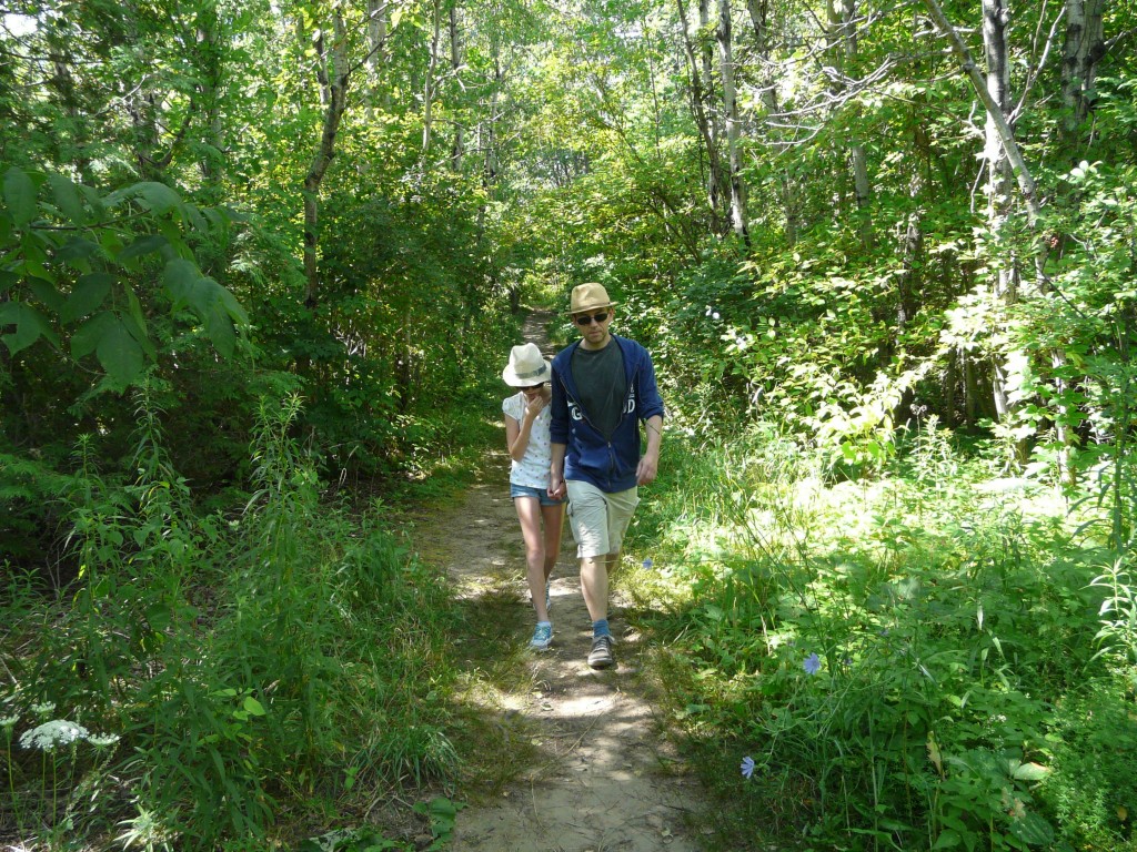 At Forks of the Credit