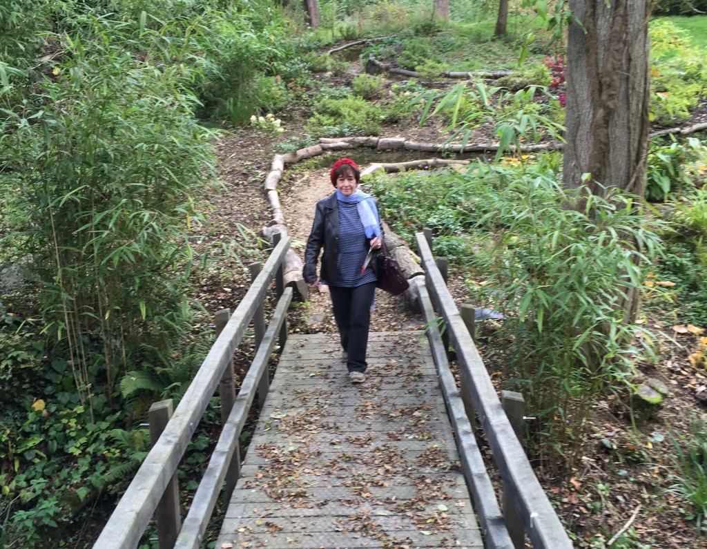 Dot on one of the more remote paths at Hever Castle.