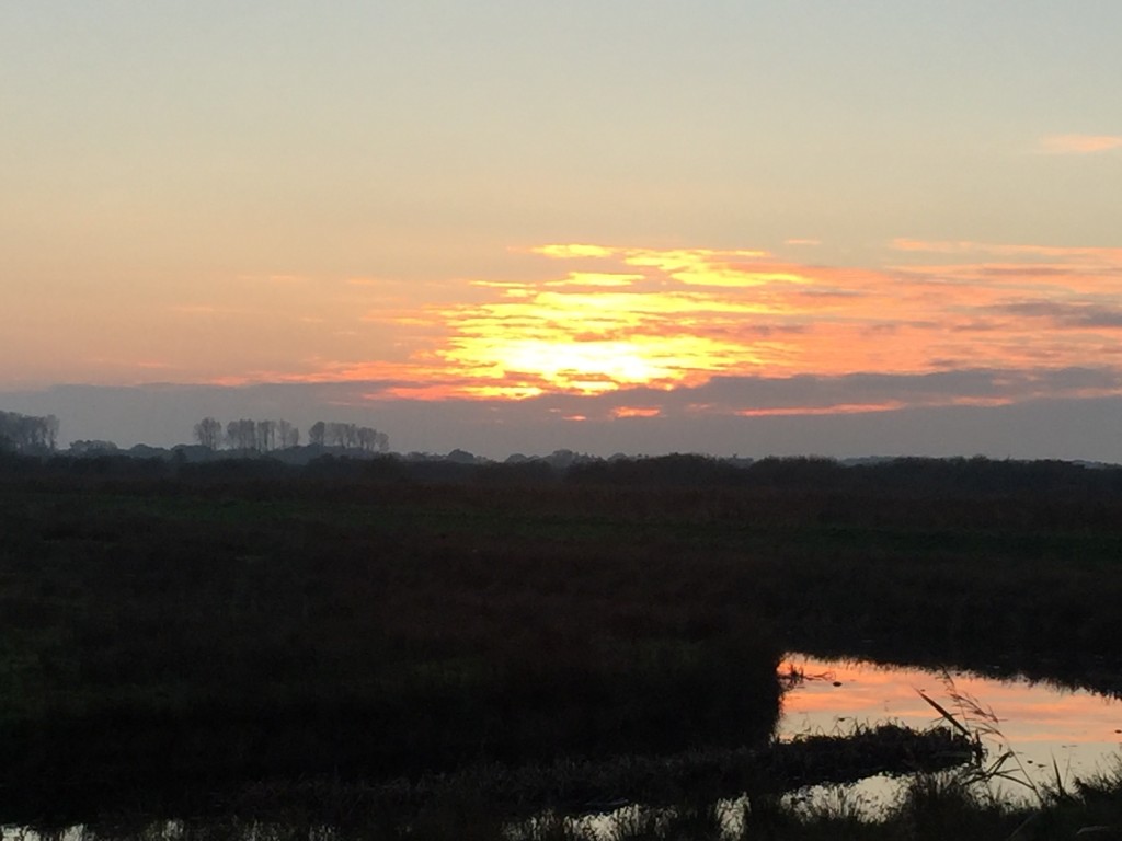 Sunset near South Walsham.