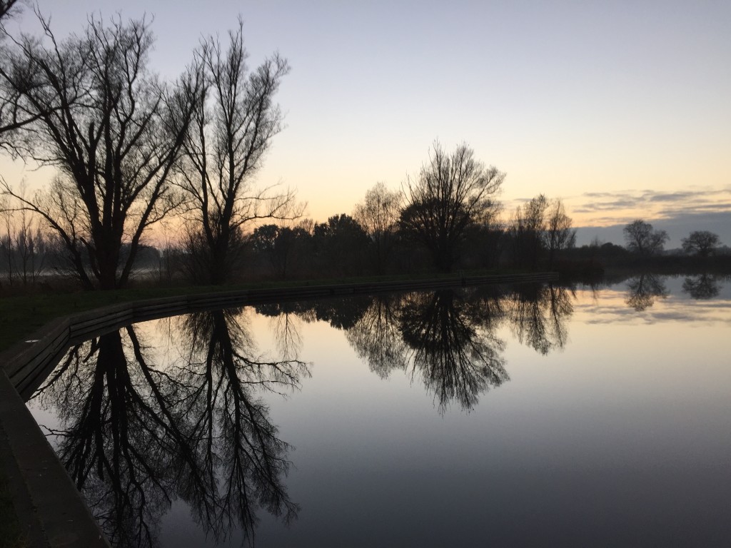 Another picture from my Broads walk near South Walsham, not long ago.