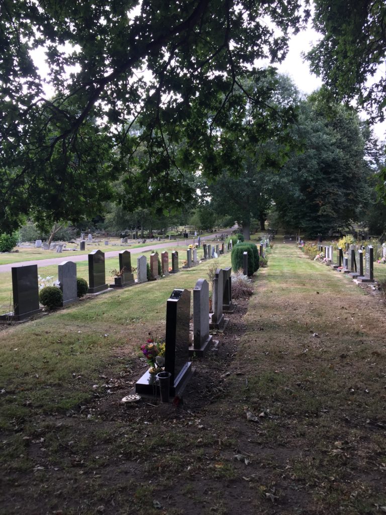 Peaceful in the Rosary this week.