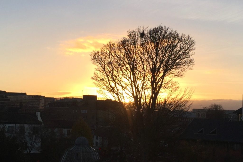 View from the Castle Mound at sunset (after my visit to the museum).