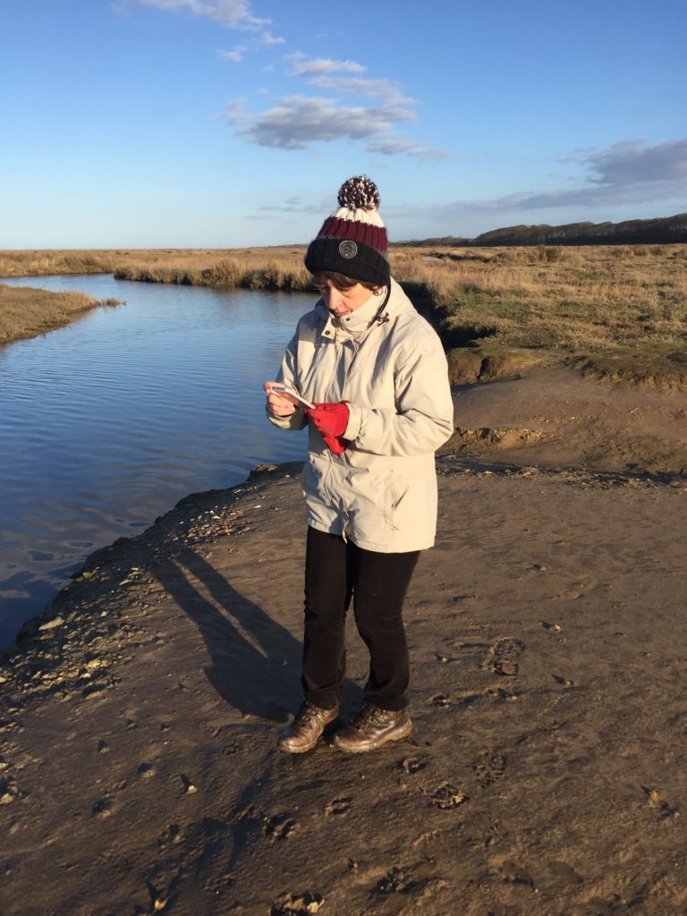 Dot taking a walk out on the marshes at Stiffkey.
