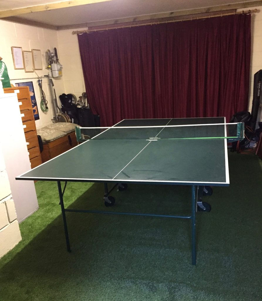 Try to control your excitement. This is our new-look garage, with Astroturf and uncluttering.