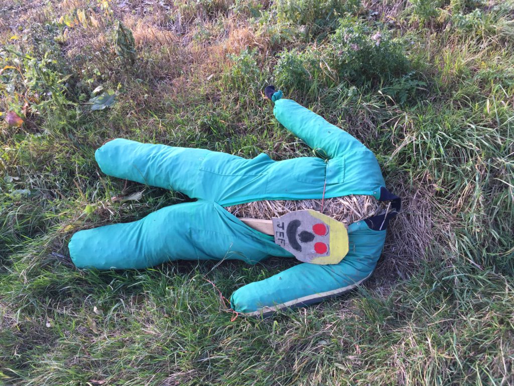 Rather startled to come across this body on my walk at Carleton Rode...