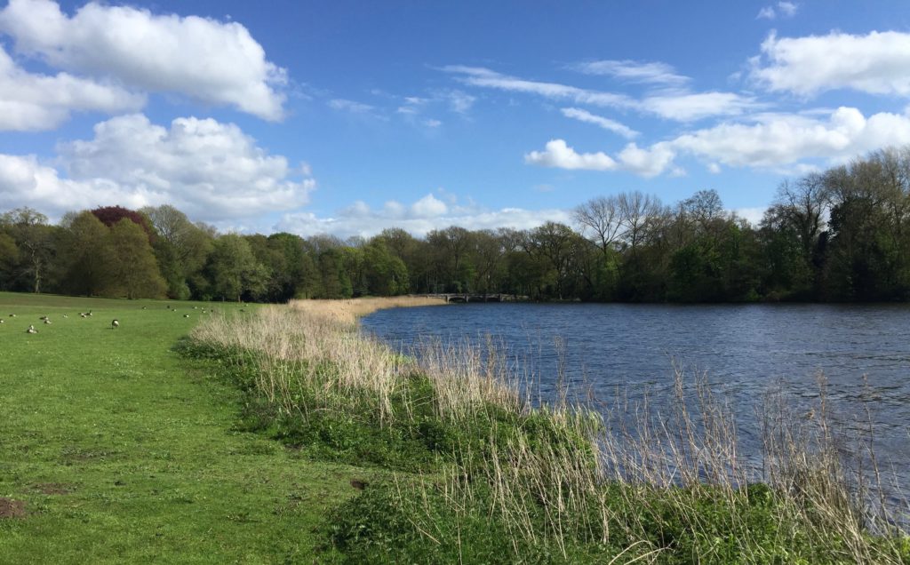 The lake behind Sudbury Hall.