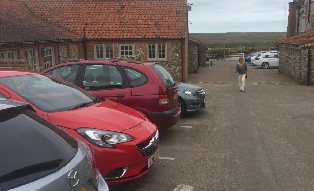 Dot approaching the car at Blakeney Hotel.